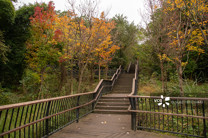 成都青龙湖湿地公园图片素材