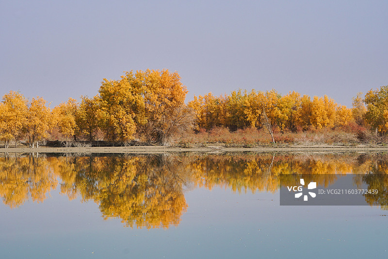 新疆沙雅139胡杨秘境公路沿途风光图片素材