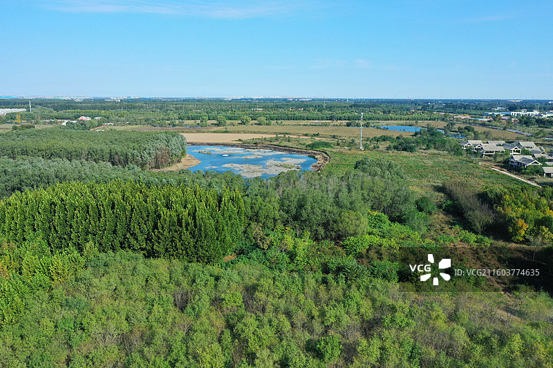 喜降冬雨净尘埃，银杏枫红异彩裁  鸿雁远征穿雾过，珍馐慢炖御寒来  千山万水凭栏眺，无尽风光入镜开图片素材