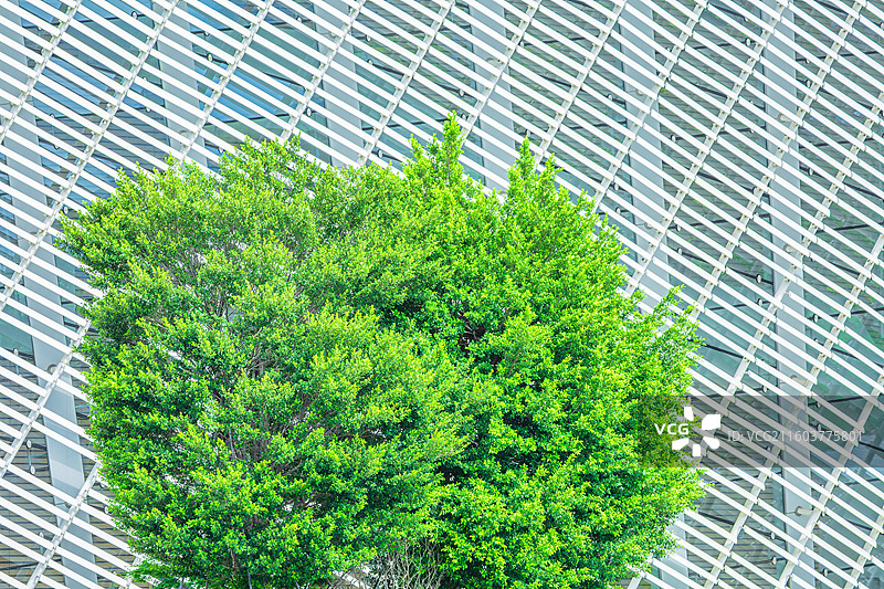 福州海峡艺术中心现代建筑与绿树的俯视图图片素材