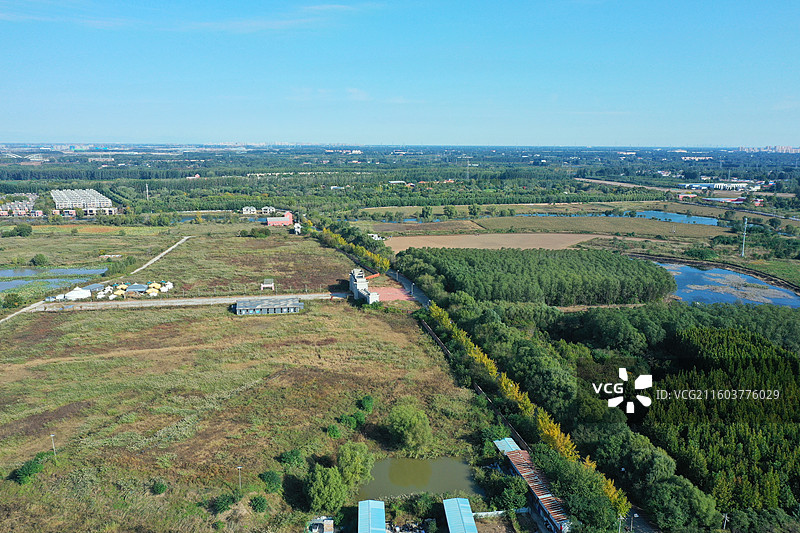 喜降冬雨净尘埃，银杏枫红异彩裁  鸿雁远征穿雾过，珍馐慢炖御寒来  千山万水凭栏眺，无尽风光入镜开图片素材
