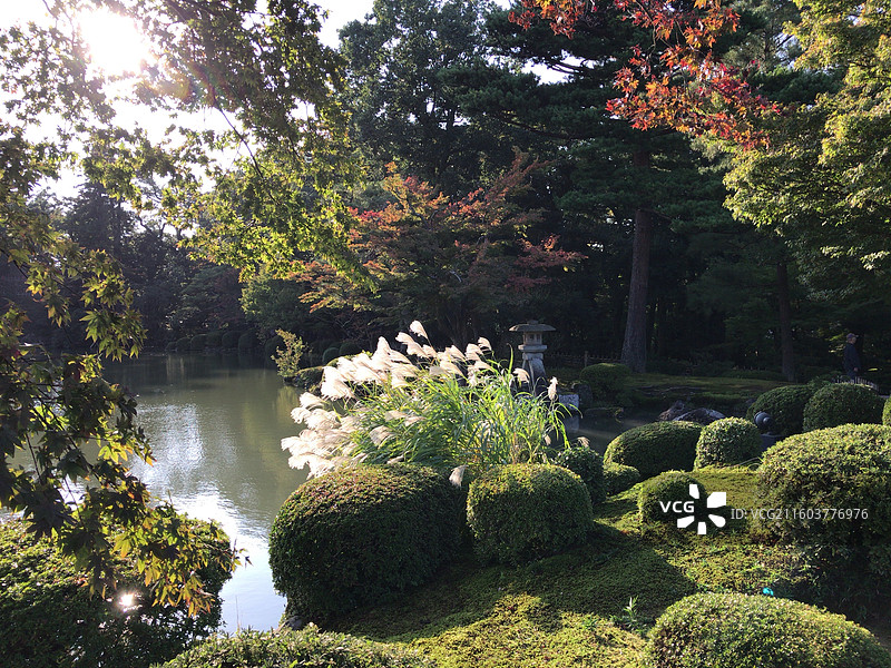 日本石川县 金泽兼六园图片素材