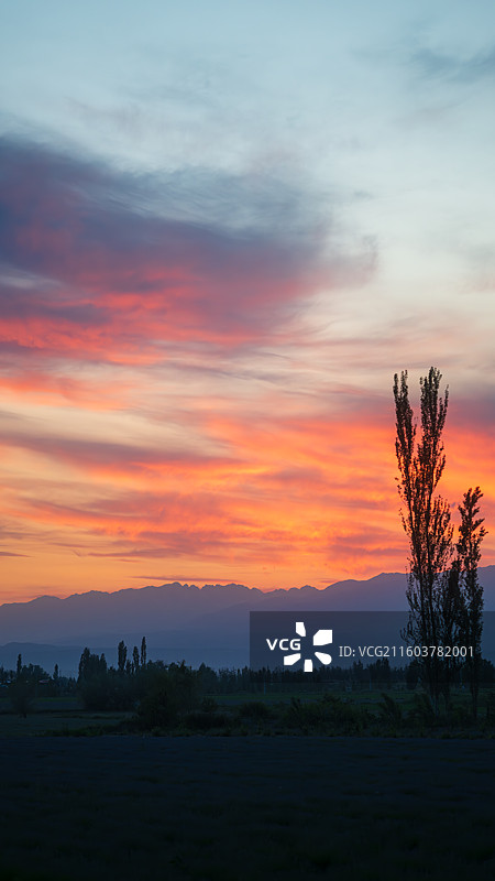5月底的新疆，有着不输于盛夏的景色图片素材