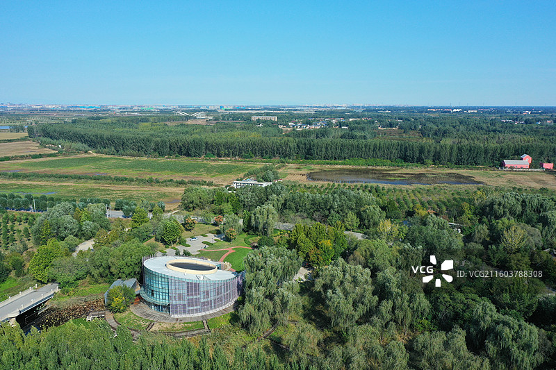 喜降冬雨净尘埃，银杏枫红异彩裁  鸿雁远征穿雾过，珍馐慢炖御寒来  千山万水凭栏眺，无尽风光入镜开图片素材
