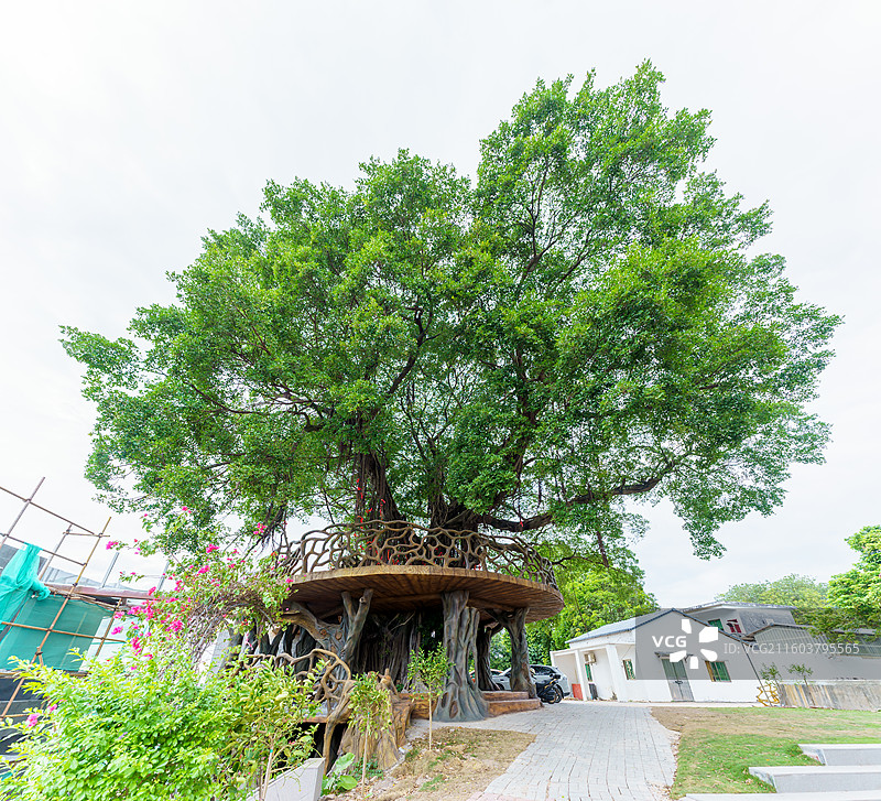 肇庆市高要区金渡镇铁岗村图片素材