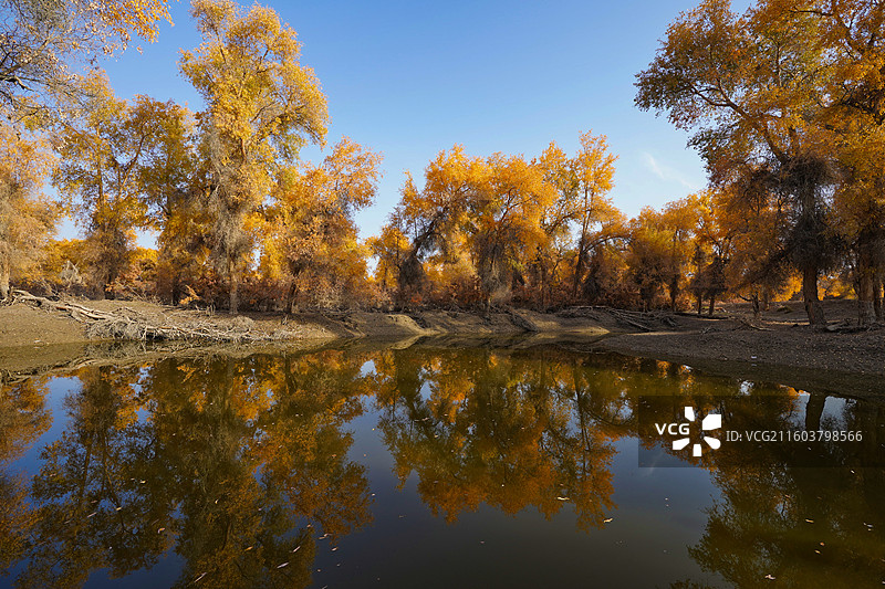 新疆沙雅139胡杨秘境公路沿途风光图片素材