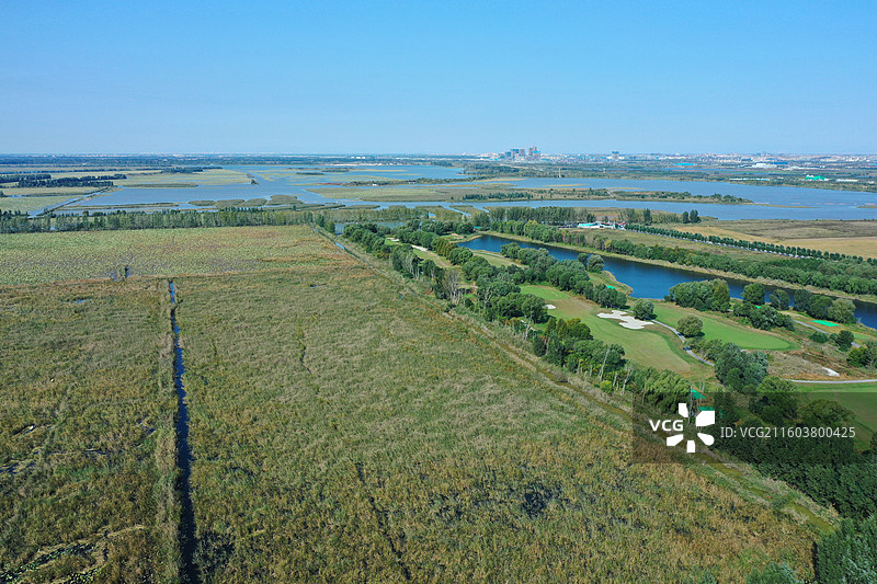 喜降冬雨净尘埃，银杏枫红异彩裁  鸿雁远征穿雾过，珍馐慢炖御寒来  千山万水凭栏眺，无尽风光入镜开图片素材