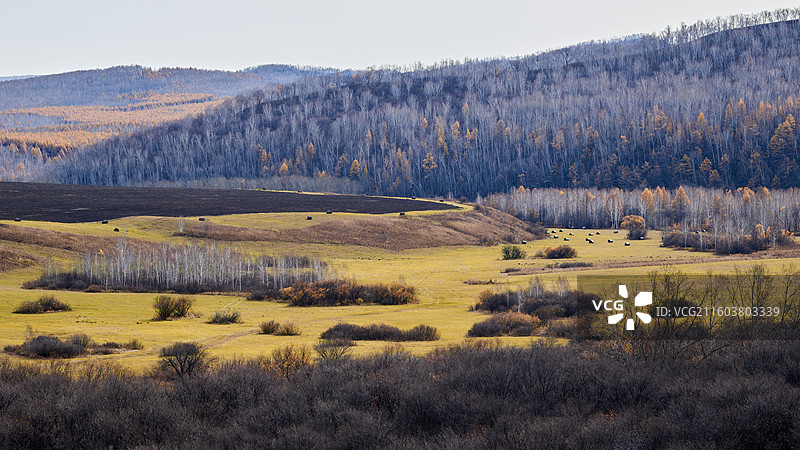 老鹰嘴图片素材
