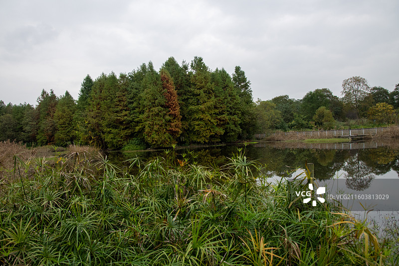 成都青龙湖湿地公园图片素材