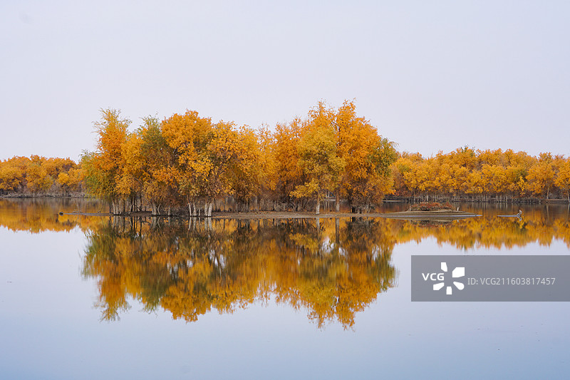 新疆沙雅139胡杨秘境公路沿途风光图片素材