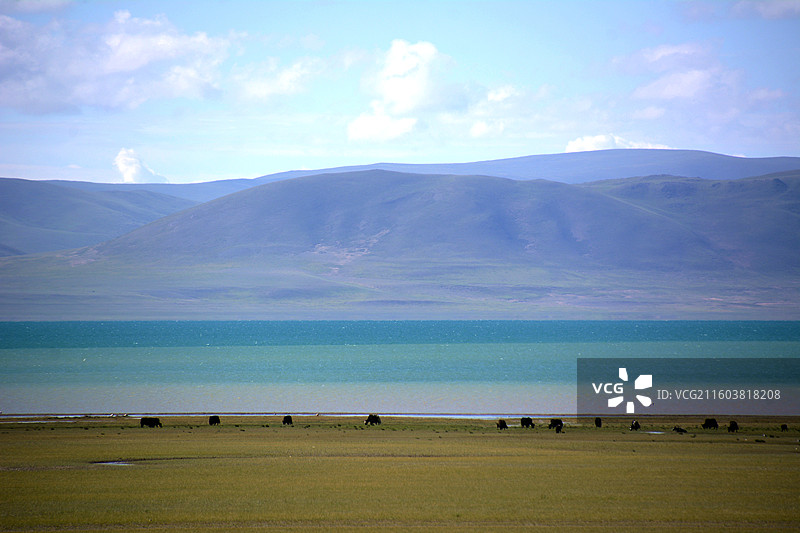 西藏那曲班戈沿途纳木错碧湖蓝天草地牧场风光图片素材