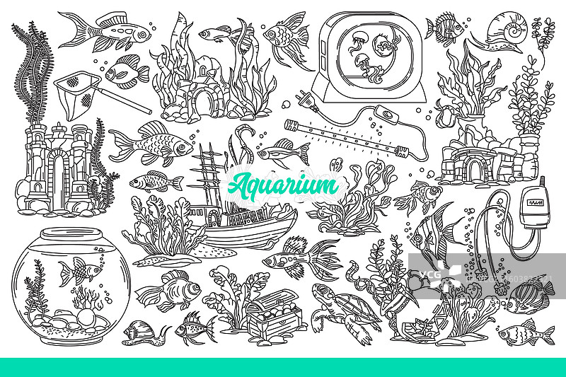 鱼儿在水族箱装饰中游动图片素材