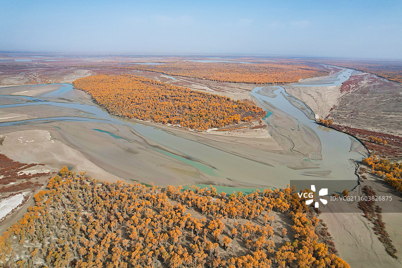 新疆沙雅139胡杨秘境公路沿途风光图片素材