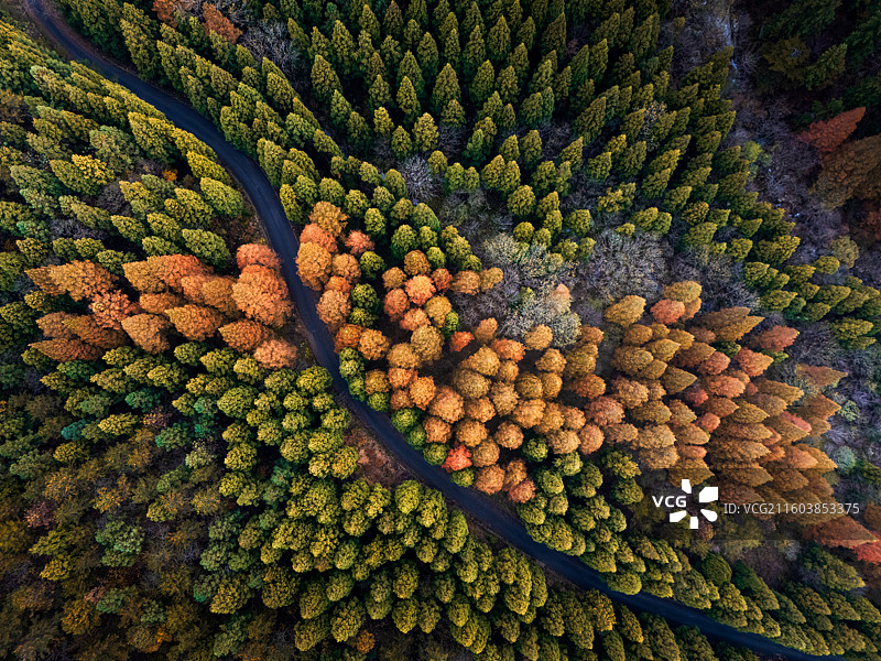 林海秋色图片素材