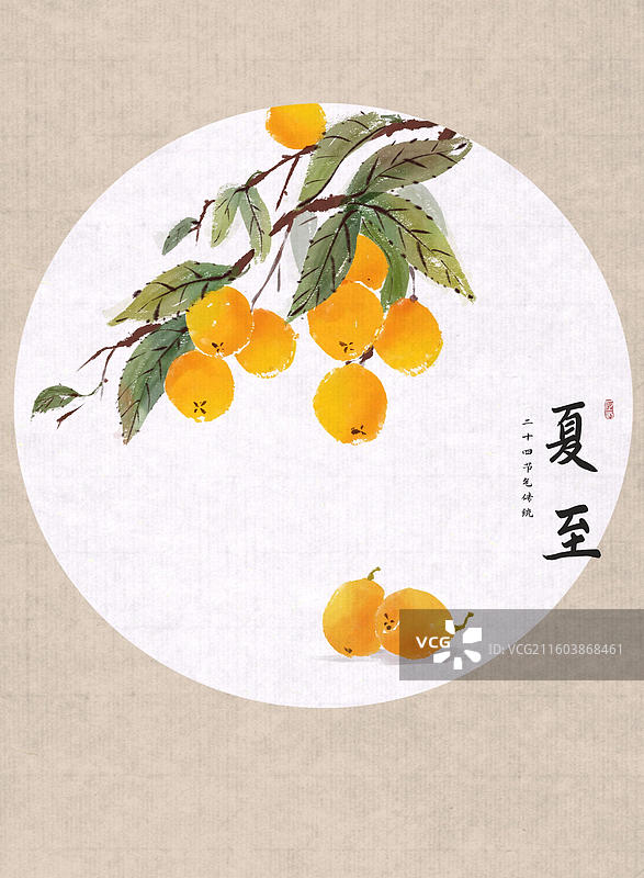 24节气水果插画-夏至 枇杷图片素材