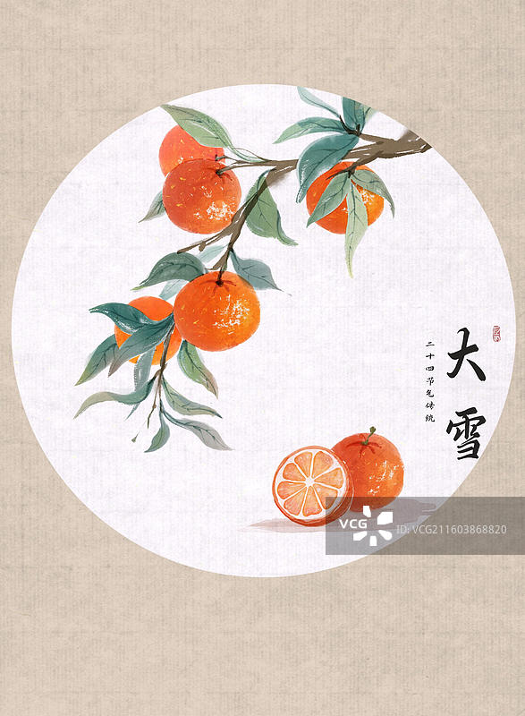 24节气水果插画-大雪 橙子图片素材