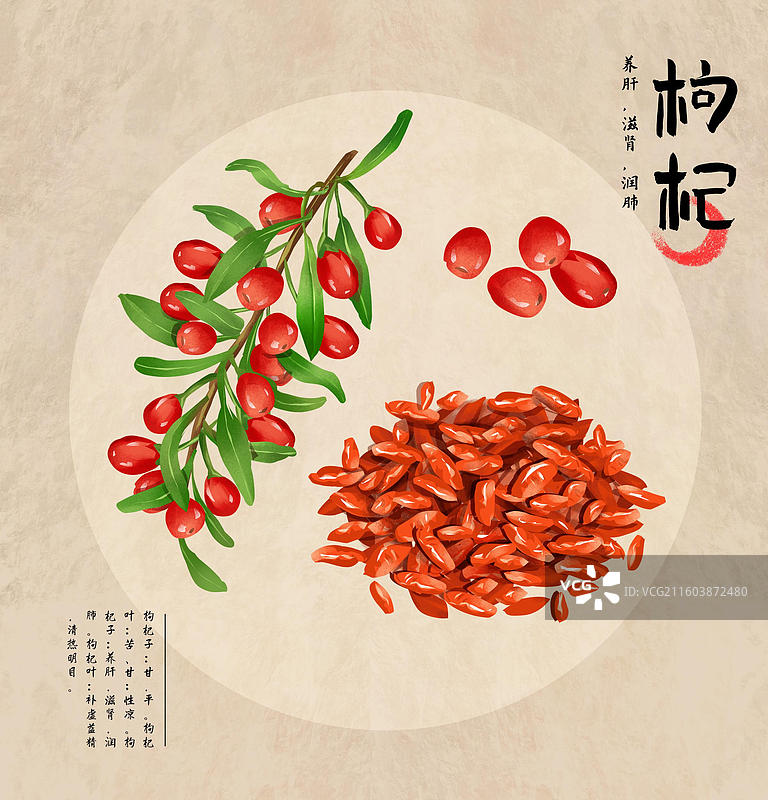 中国传统中草药 枸杞图片素材