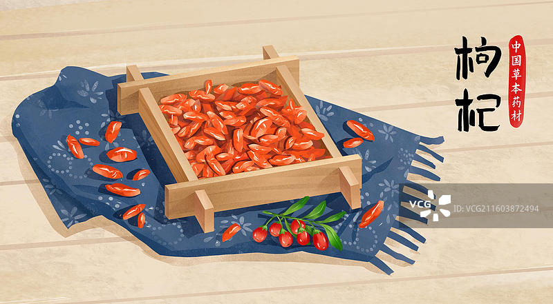 中国传统中草药 枸杞图片素材