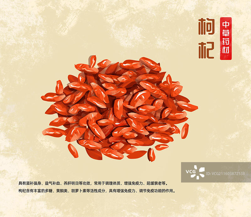 中国传统中草药 枸杞图片素材