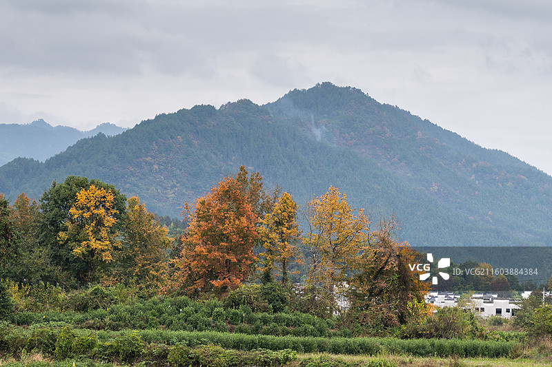 皖南秋景图片素材