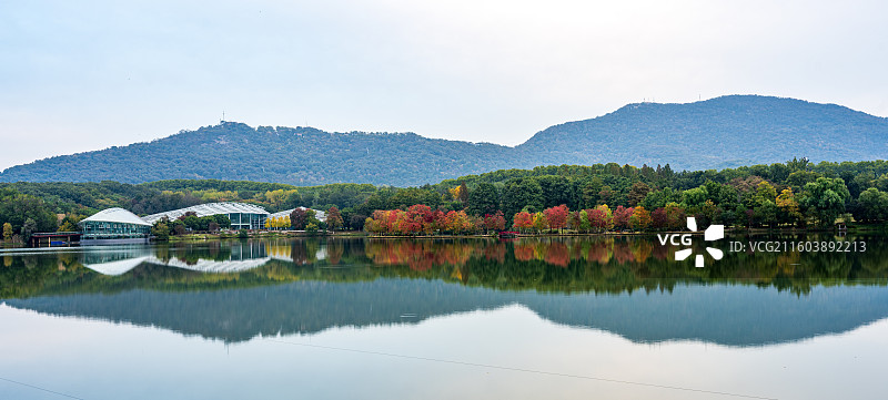 南京前湖月牙堤乌桕彩林秋日景色风光图片素材
