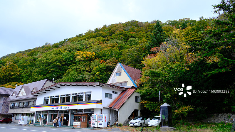日本青森十和田湖日式小商铺秋天黄叶红叶街景特写图片素材