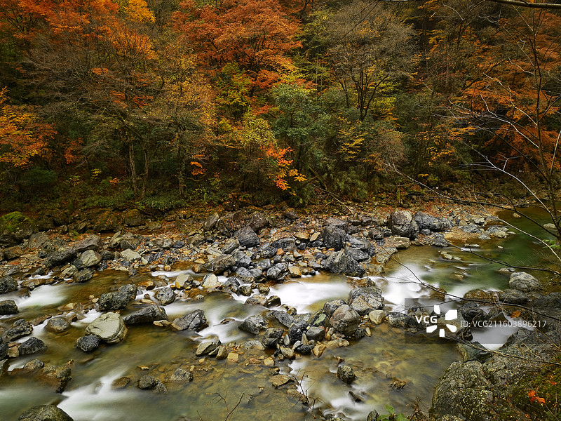 四川巴中市米仓山大兰沟图片素材