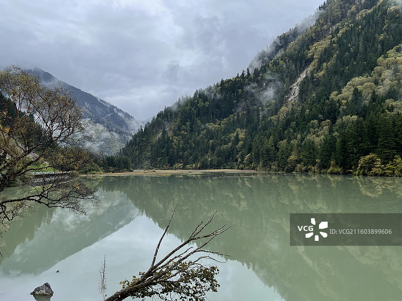 九寨沟天鹅海图片素材