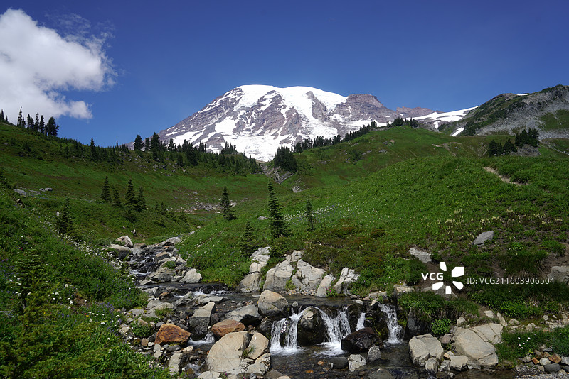 美国瑞尼尔国家公园的雪山图片素材