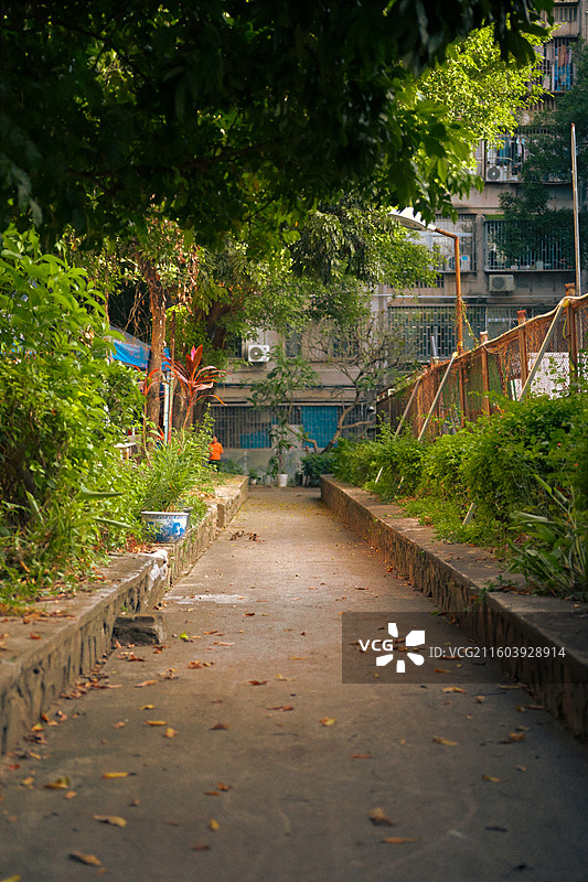 温暖，怀旧，回忆，有温度的，阳光明媚的日子，老旧小区，老旧社区，老旧居民楼，灵芝园新村，温暖社区图片素材