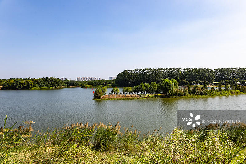 广东南海金沙岛国家湿地公园图片素材