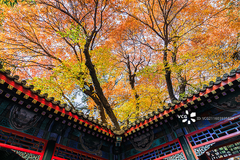 秋天的古建筑图片素材