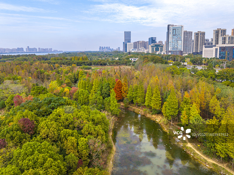江西南昌艾溪湖湿地公园秋天风景图片素材