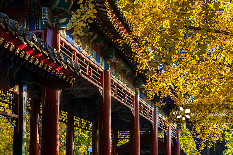 北京中山公园图片素材