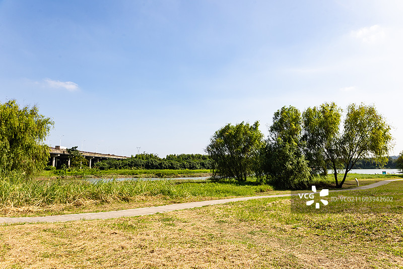 广东南海金沙岛国家湿地公园图片素材