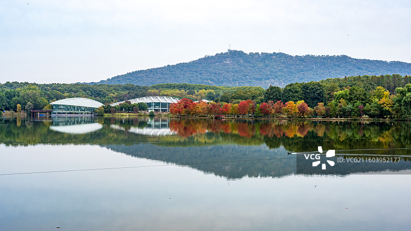 南京前湖月牙堤乌桕彩林秋日景色风光图片素材