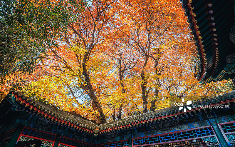 秋天的古建筑图片素材