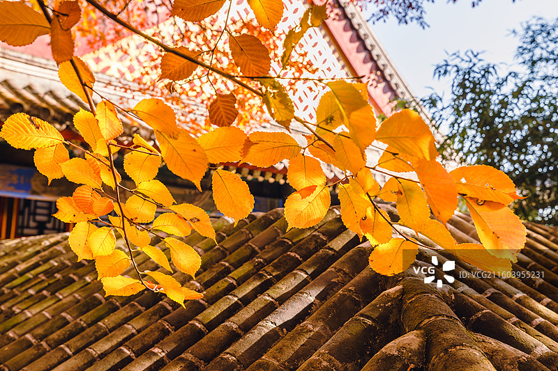 秋天的古建筑图片素材