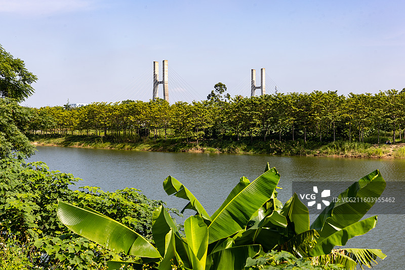 广东南海金沙岛国家湿地公园图片素材