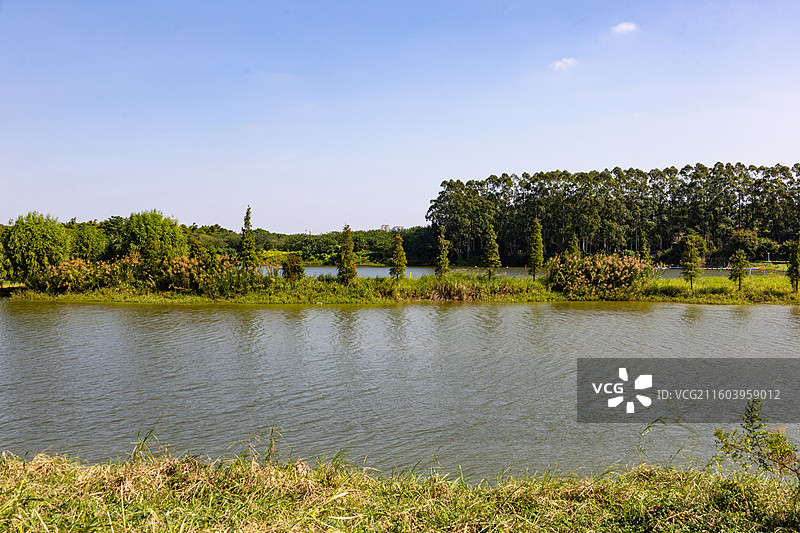 广东南海金沙岛国家湿地公园图片素材