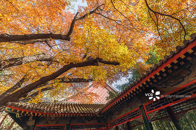 秋天的古建筑图片素材