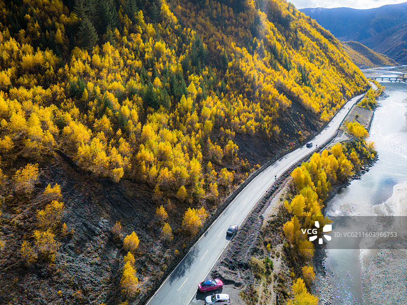 四川省甘孜州康定市甲根坝镇彩林河流航拍图片素材