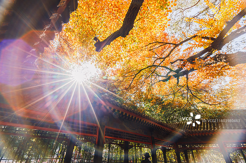 秋天的古建筑图片素材