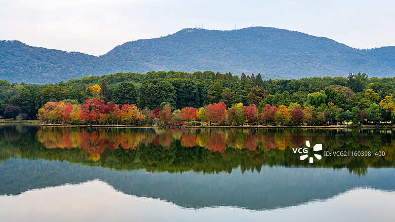 南京前湖月牙堤乌桕彩林秋日景色风光图片素材