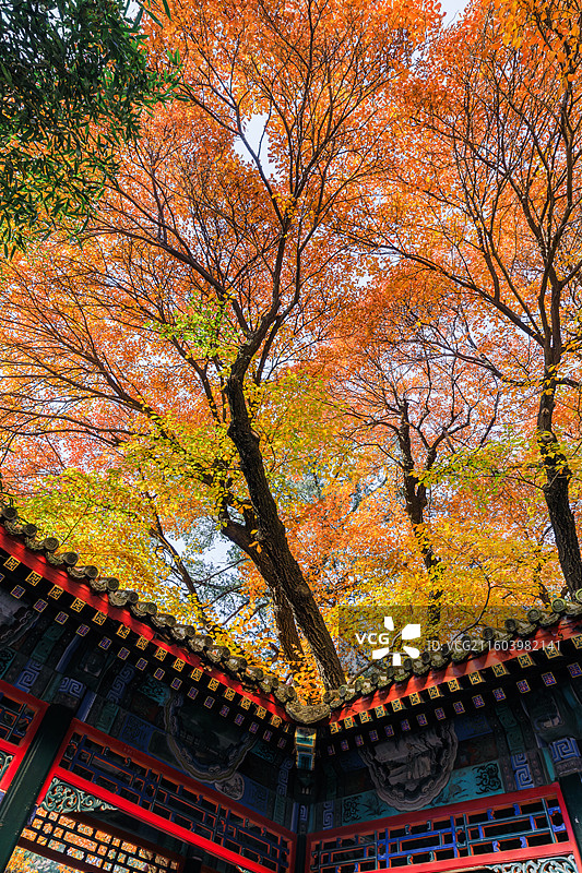 秋天的古建筑图片素材