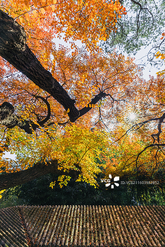 秋天的古建筑图片素材