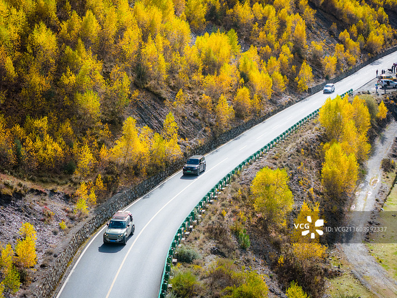 四川省甘孜州康定市甲根坝镇彩林河流航拍图片素材