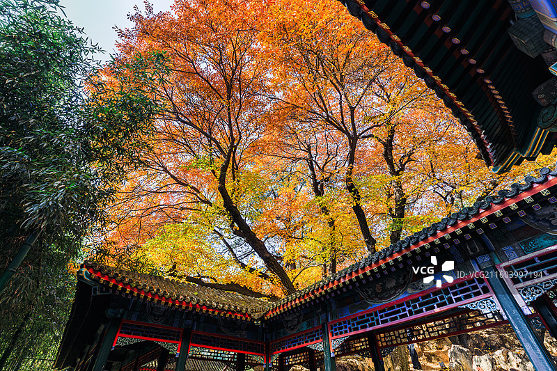 秋天的古建筑图片素材