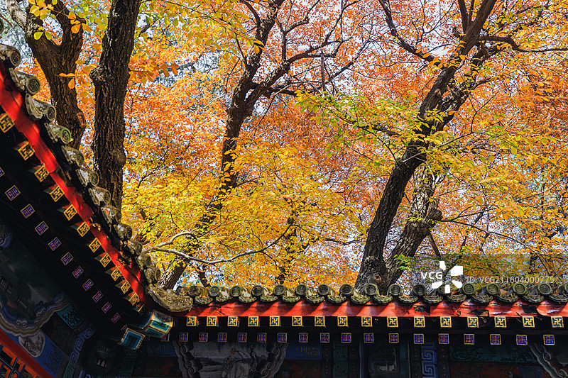 秋天的古建筑图片素材