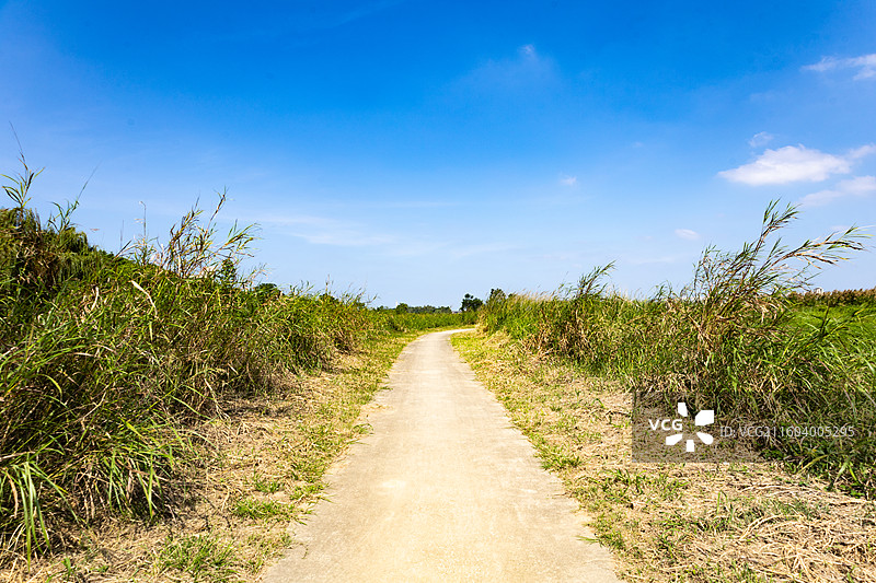广东南海金沙岛国家湿地公园图片素材